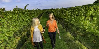 Wineries of Old Mission Peninsula