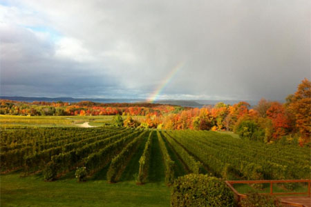 chateau_grand_traverse chateau_grand_traverse