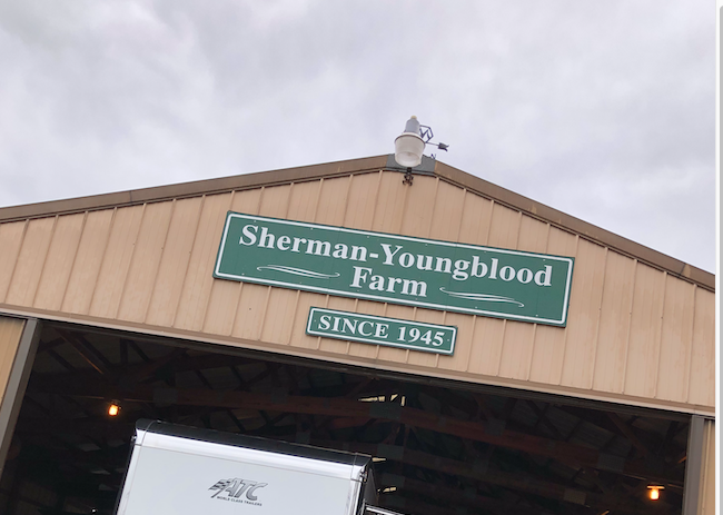 youngblood youngblood