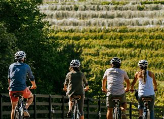 Wine, Water and Wheels: Black Star Farms Offers Outdoor Adventure