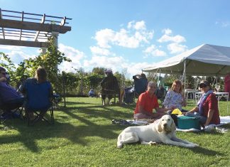 Northern Sun Winery Funday Sunday Benefit Concerts Launch in July