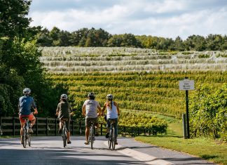 Reinventing Events on the Leelanau Peninsula Wine Trail