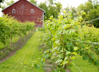 Application Now Live for Michigan Agricultural Safety Grant Program