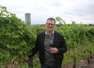 MSU Research Aims to Improve Michigan Wine Production