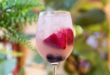 Mixed-Berry Spritzer