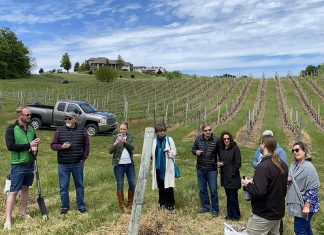 How PIWI Grapes Could Impact the Michigan Wine Scene A PIWI grapevine planting takes place at Chateau Chantal in May 2021.